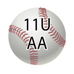 11U AA 2026 Summer Baseball Program