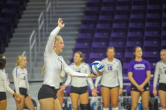 Group Volleyball Lessons with Alexis Stumbough