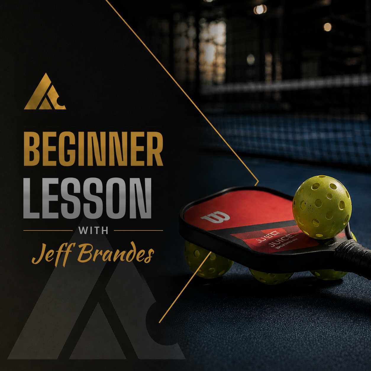 Beginner pickleball lesson with Jeff Brandes