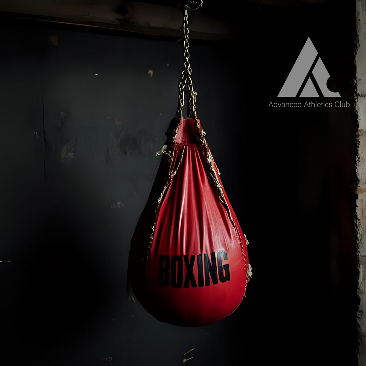 Train Like a Fighter