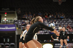 Group Volleyball Lessons with Alexis Stumbough