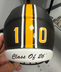 Sealy Tigers Custom Mini Football Helmet