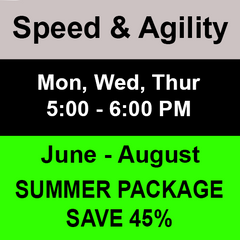 Speed Training Summer Package (Saves 45%) - Ray Dabney